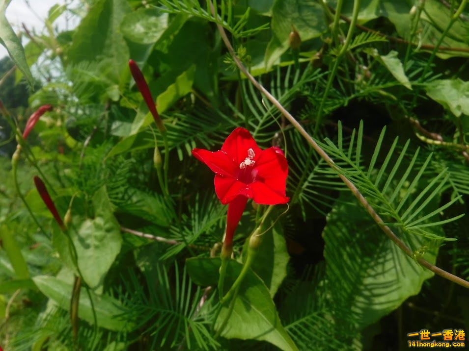 DSCF0393.jpg