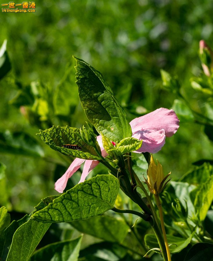 20161010-PA100167.jpg