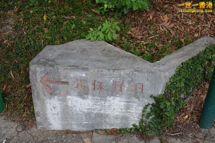 DSC_0417.JPG