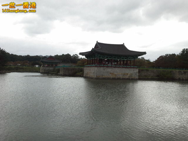20161023_121956.jpg