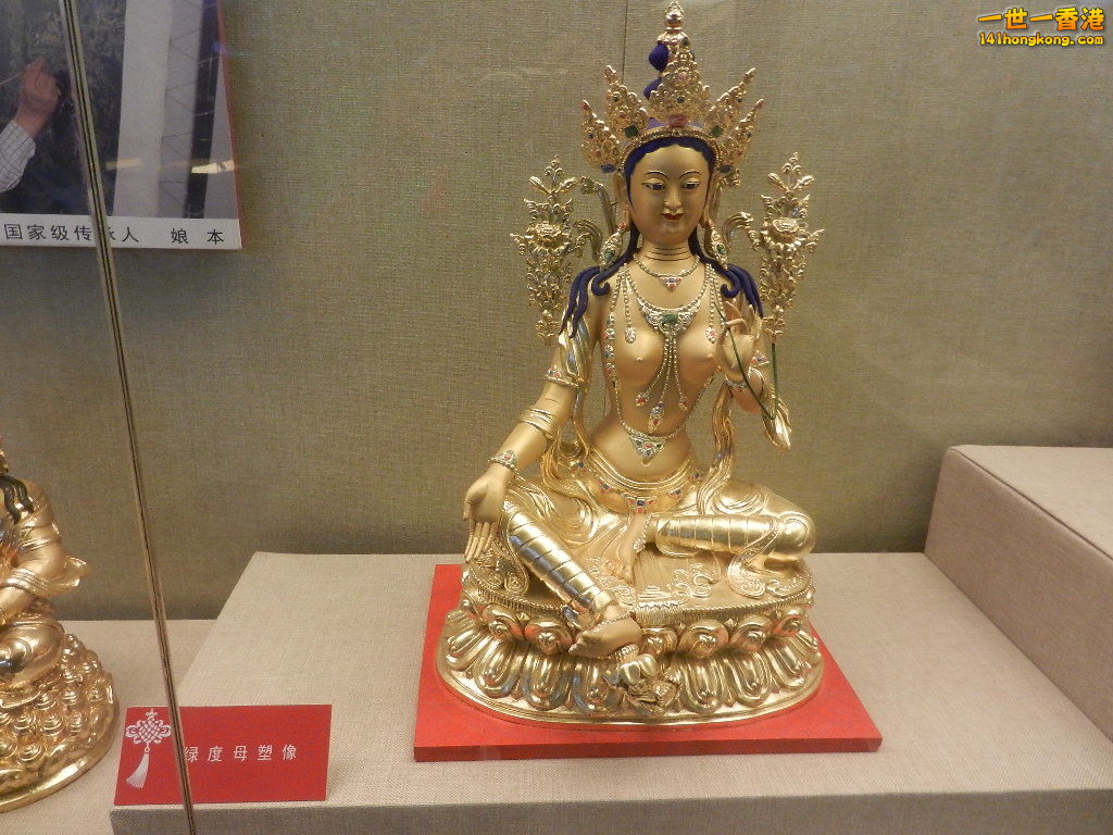 DSCN9617.JPG