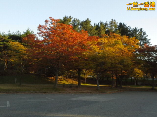 20161024_153911.jpg