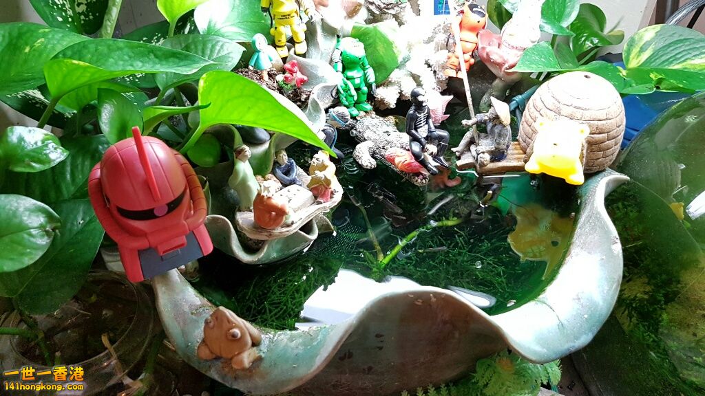 rps20161026_043335.jpg