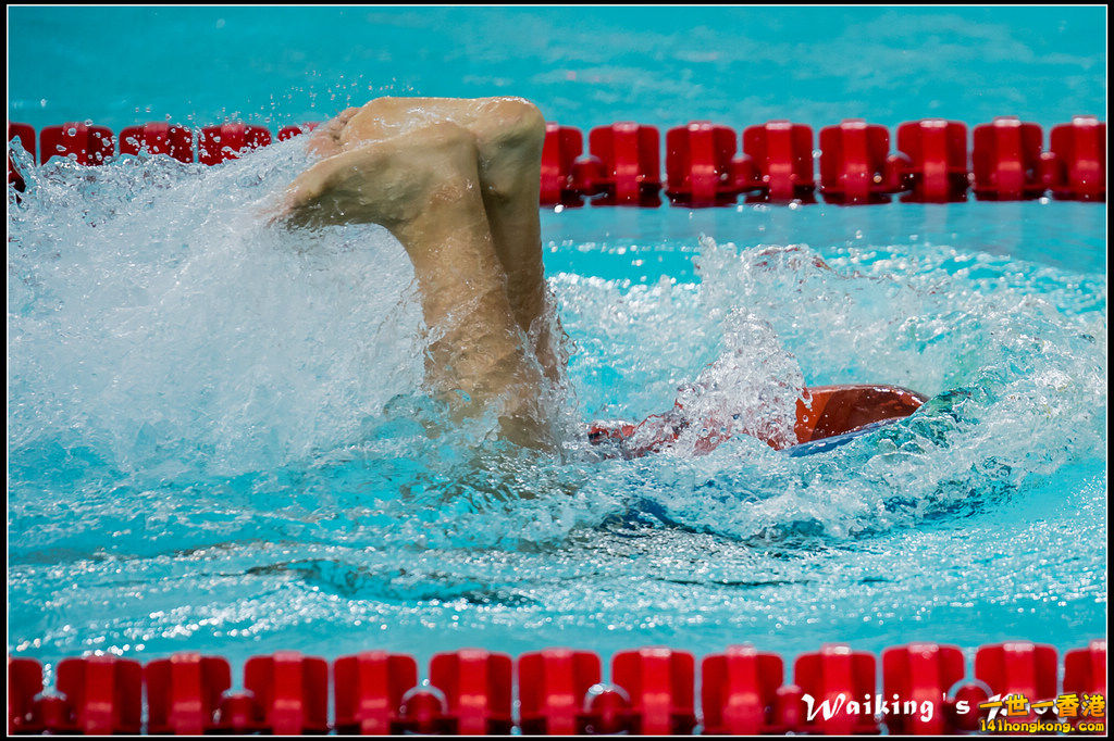 2016-10-30 Swimming 0207.jpg