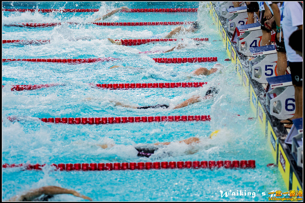 2016-10-30 Swimming 0240.jpg