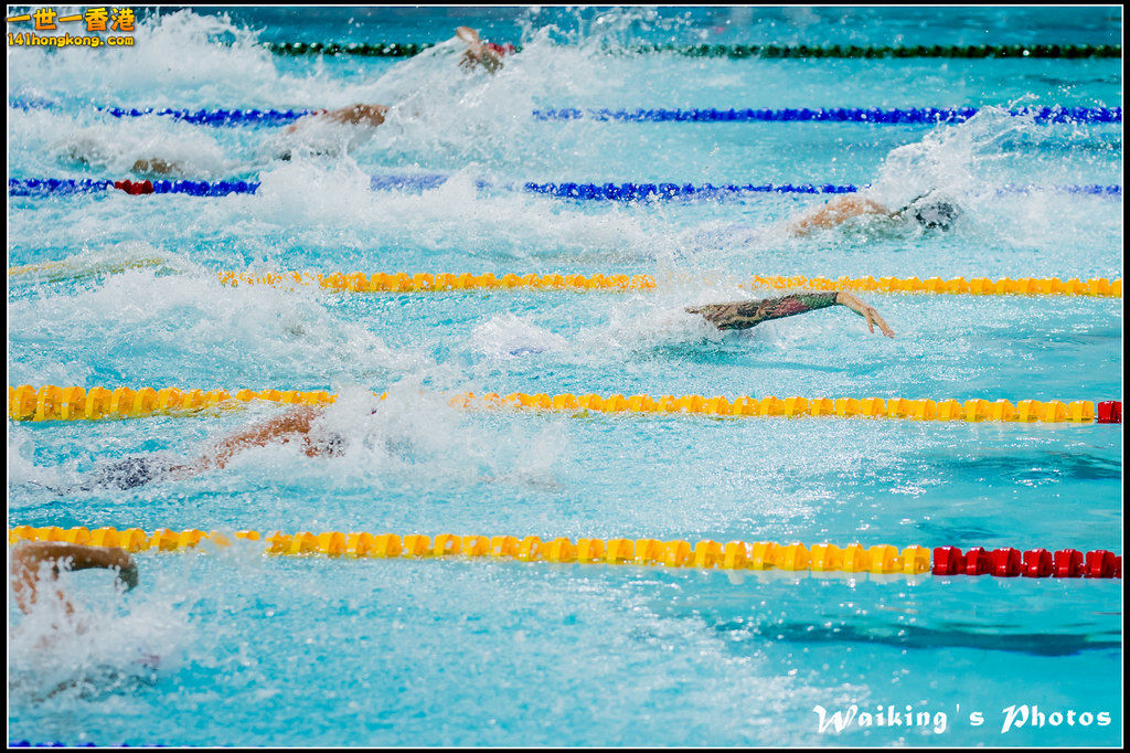 2016-10-30 Swimming 0254.jpg