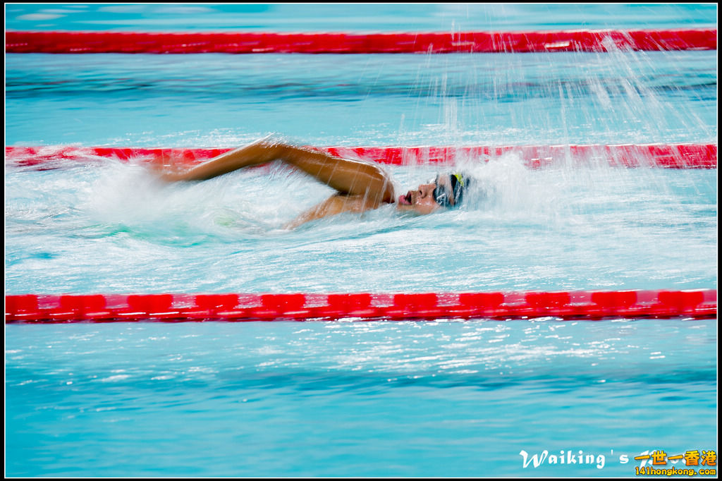2016-10-30 Swimming 0365.jpg