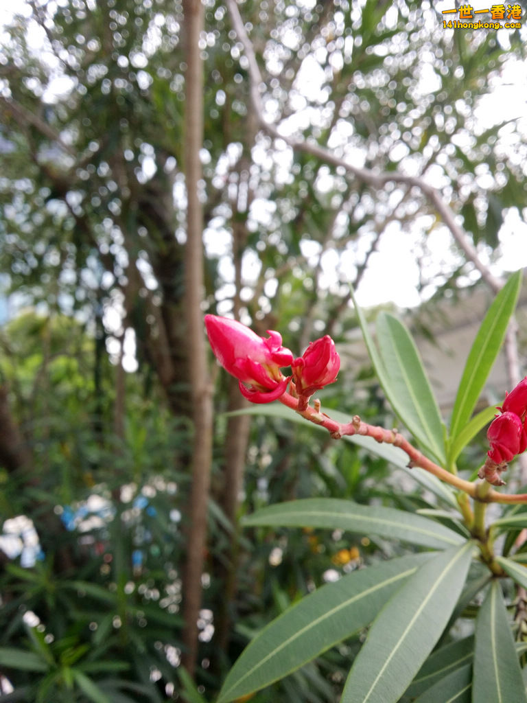 20160830_133458.jpg