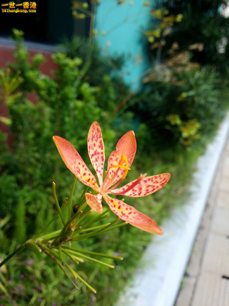 20160908_142102.jpg