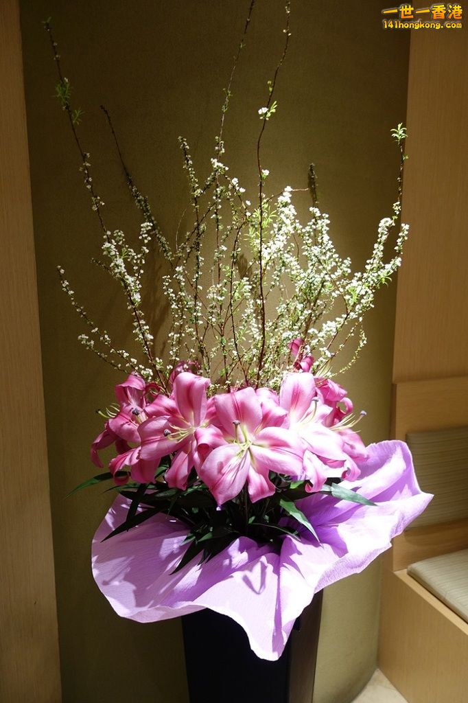 DSC05779.JPG