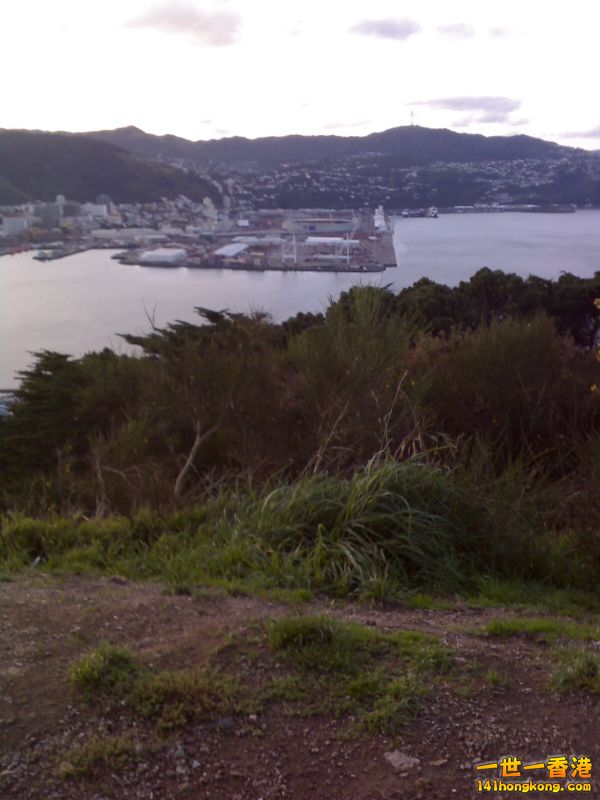 0504_125546 (600x800).jpg
