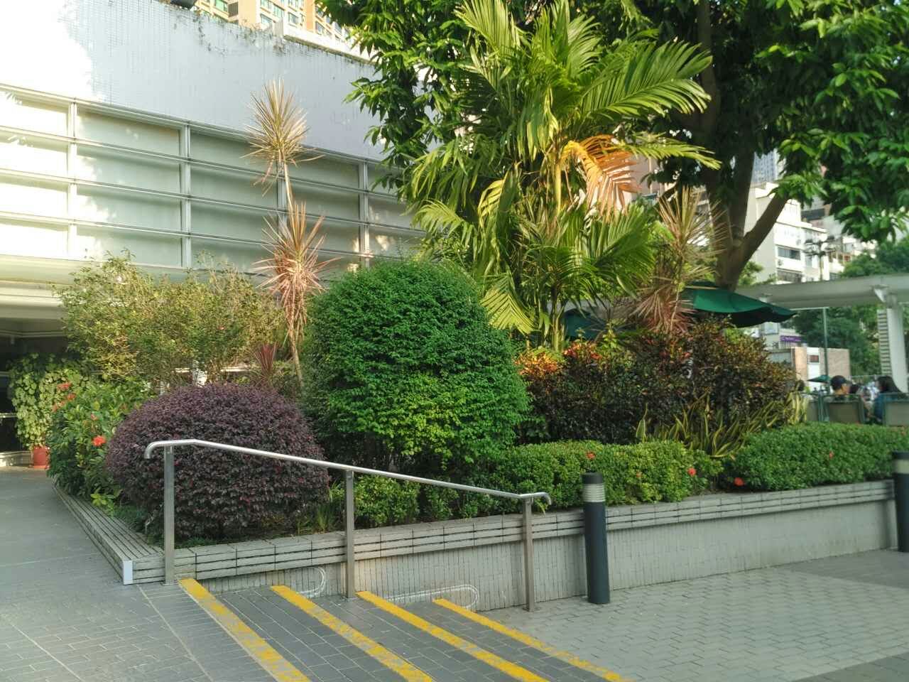 mmexport1478419893211.jpg