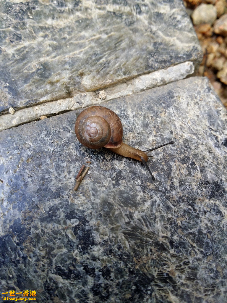 20160912_092032.jpg
