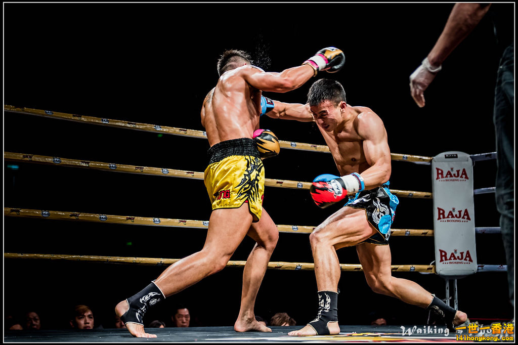 2016-11-08 X-Fight 0159.jpg