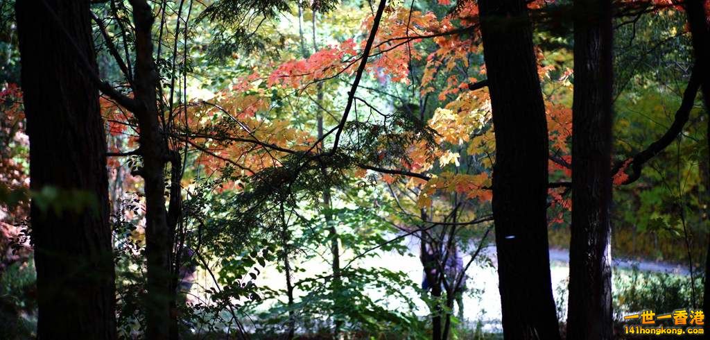 DSC08454_副本.jpg