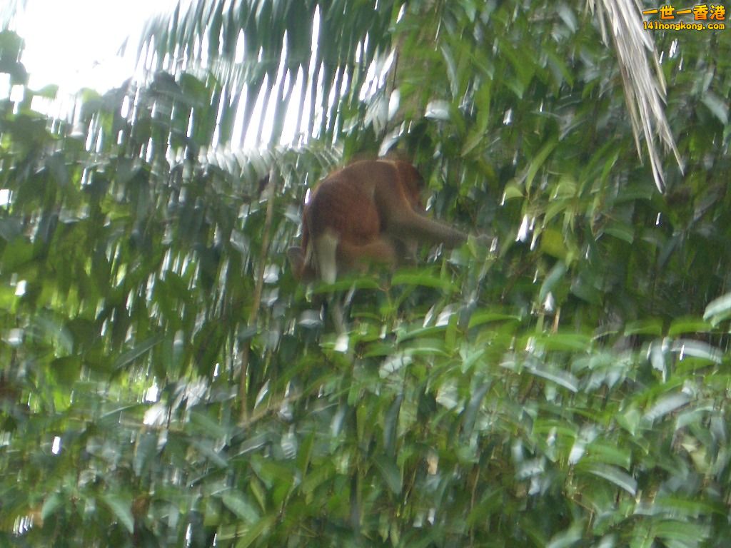 IMGP1628.JPG