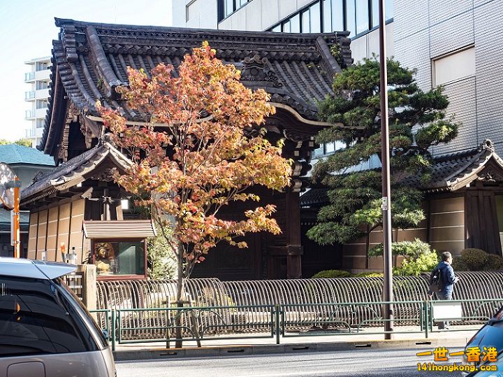 20161109-PB090374.jpg