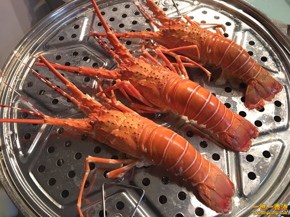 食龍蝦.jpg