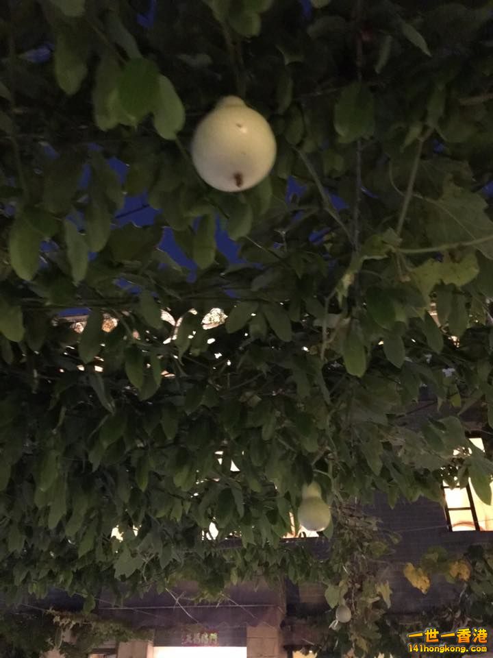 14681577_10207421009500055_3312659206215932388_n.jpg