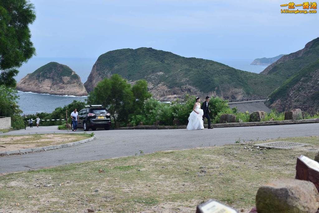 DSC_1008_副本.jpg