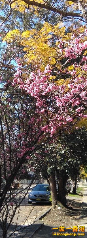 IMG_20160819_123838.jpg
