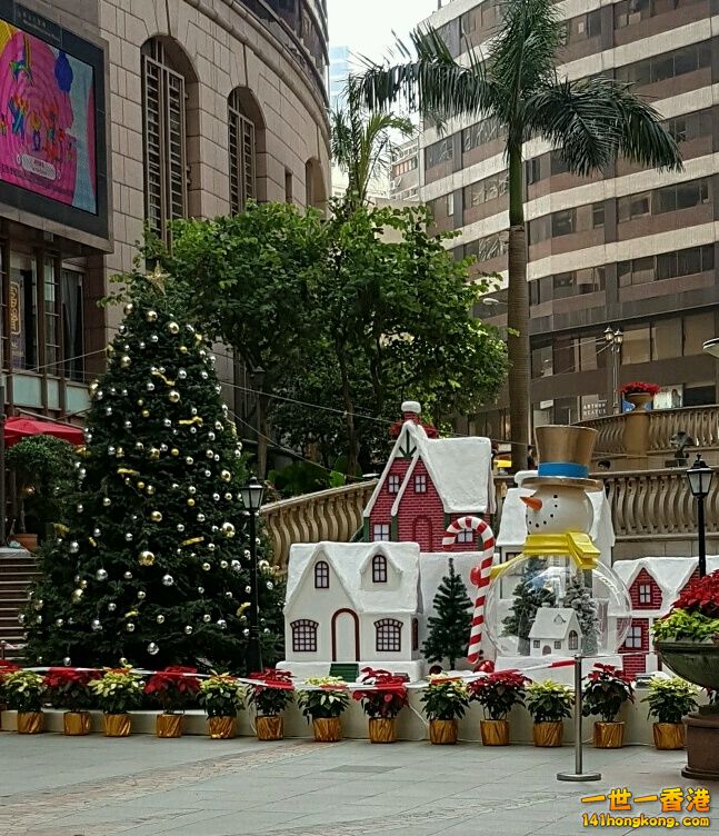 rps20161130_104641.jpg