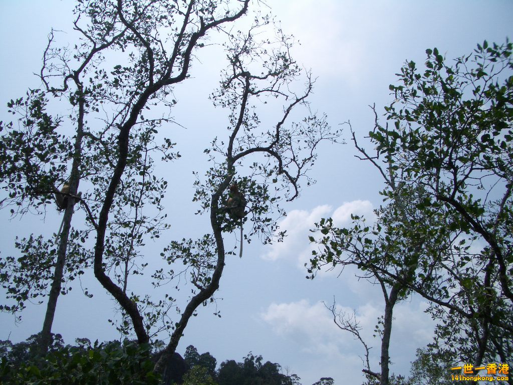 IMGP1634.JPG