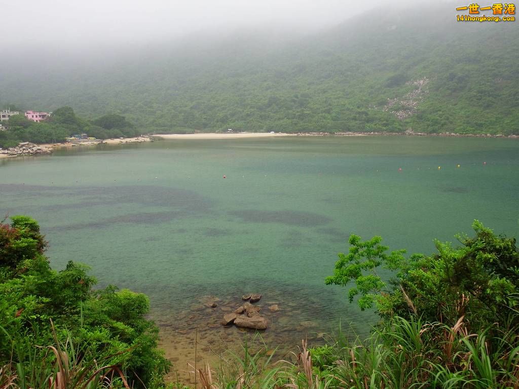 DSCF8429.JPG