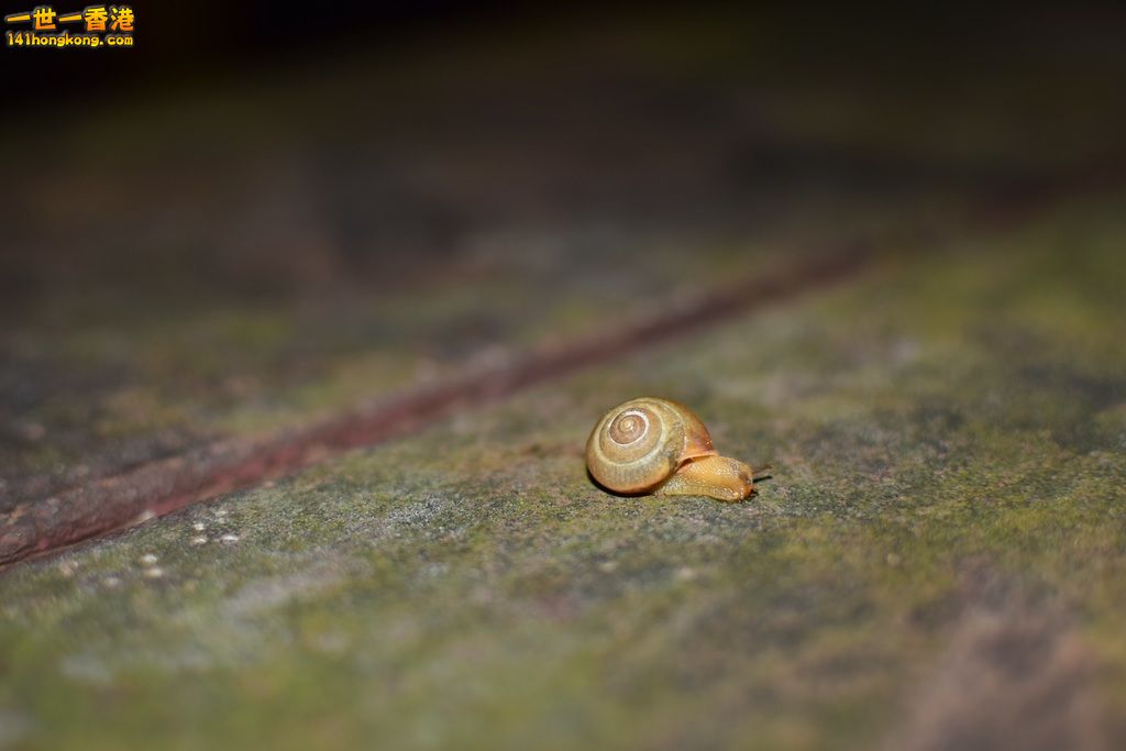 DSC_0402.JPG