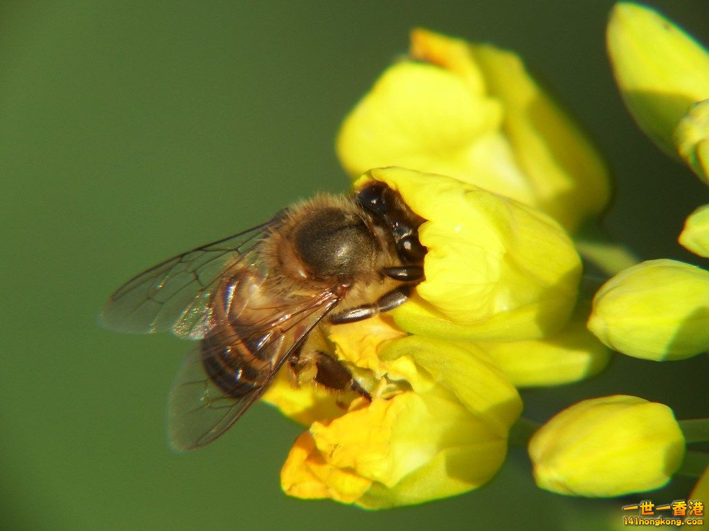 DSCF3930.JPG