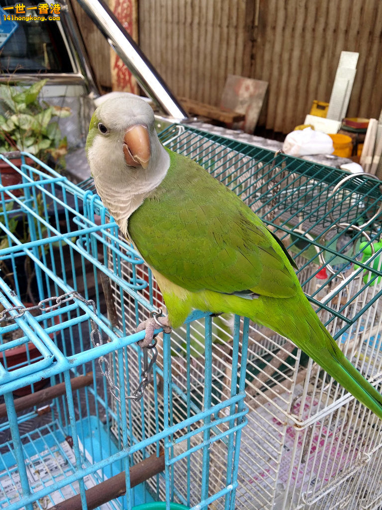 20150618_145105_3.jpg