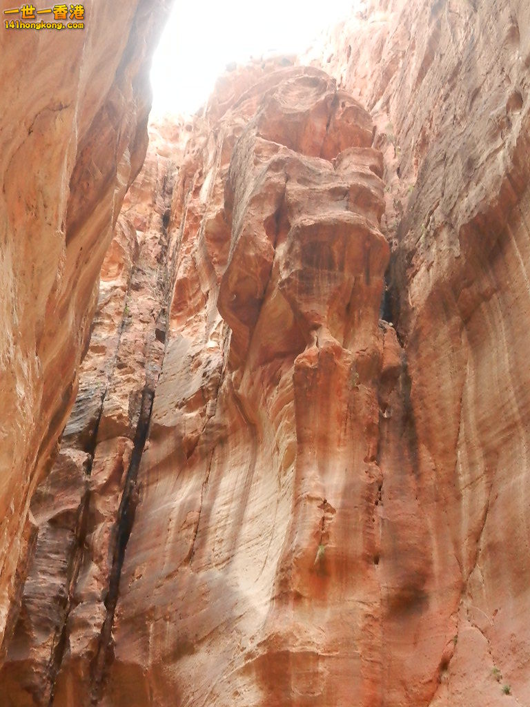 DSCN7063.JPG