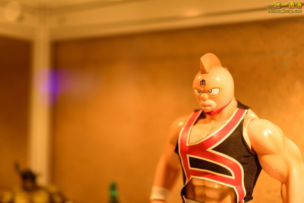 DSC_8331.jpg