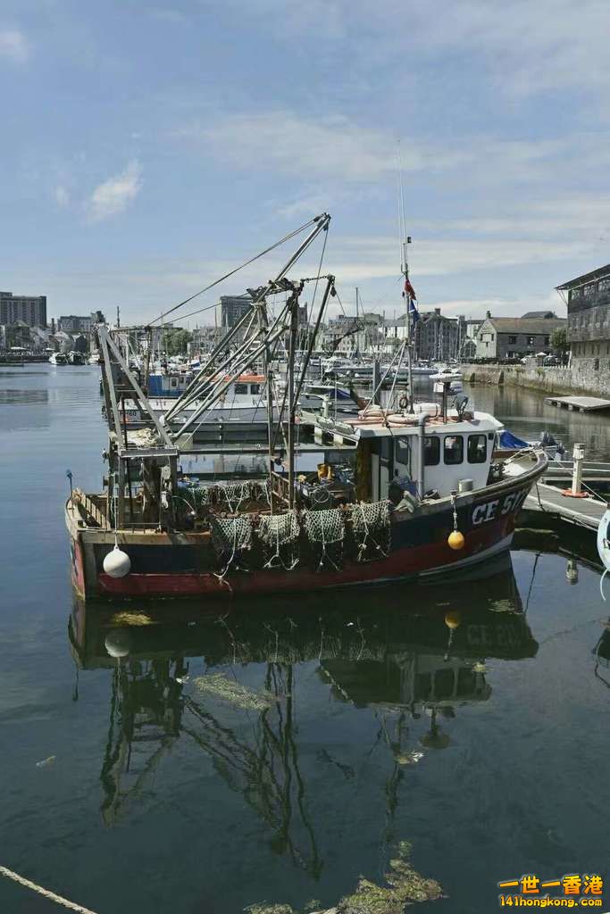 mmexport1468727676730.jpg
