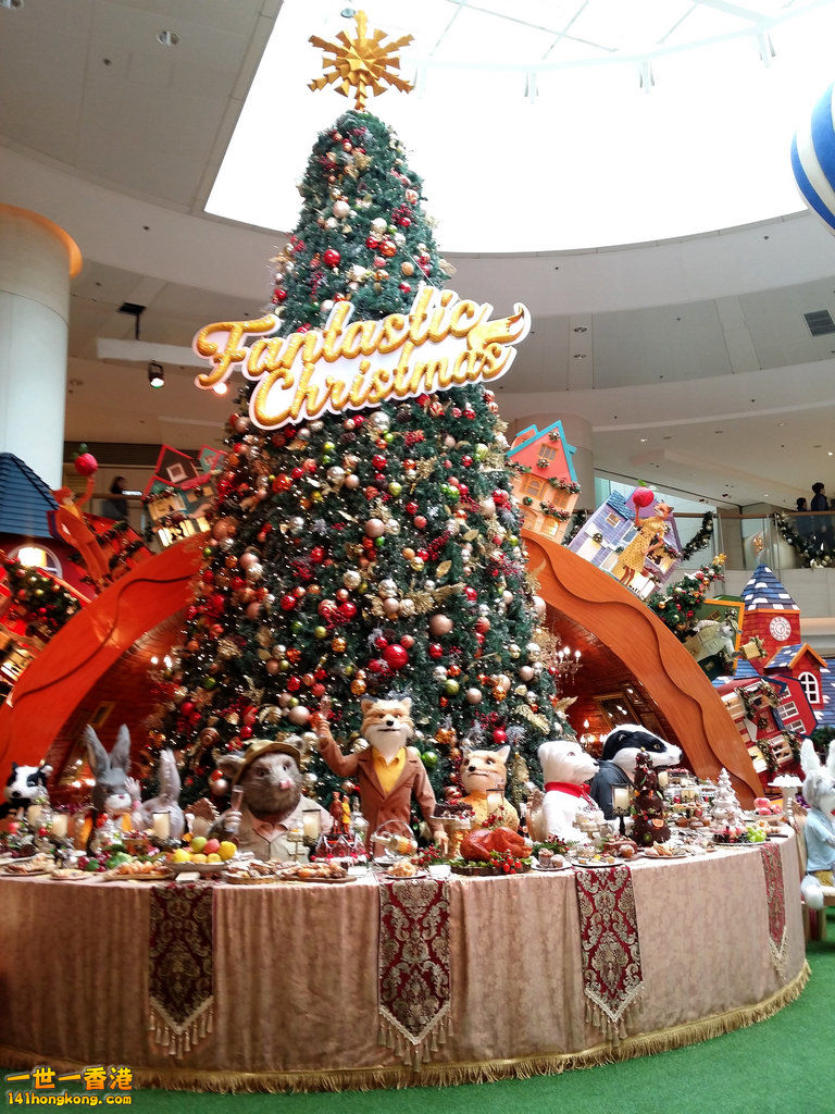 20161215_142941.jpg