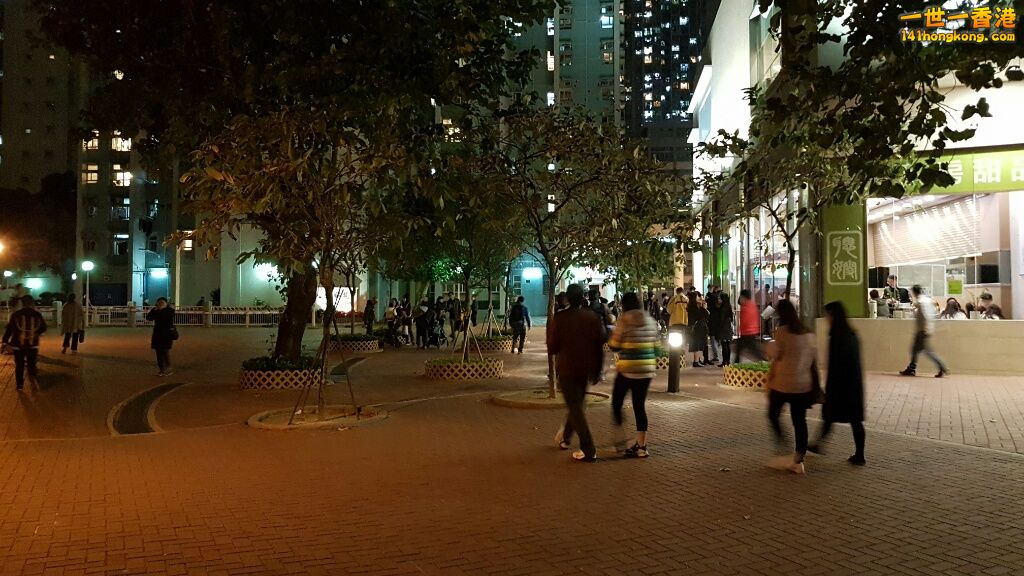 rps20161231_045821.jpg