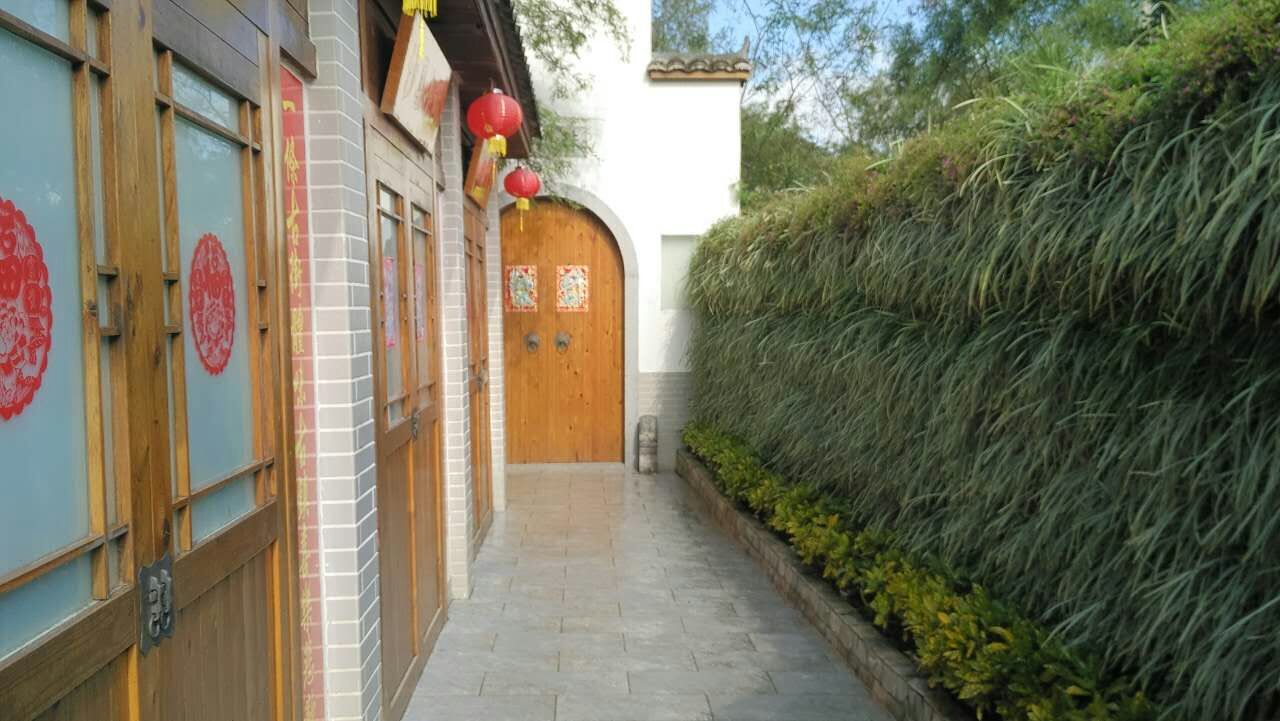 mmexport1483062277128.jpg