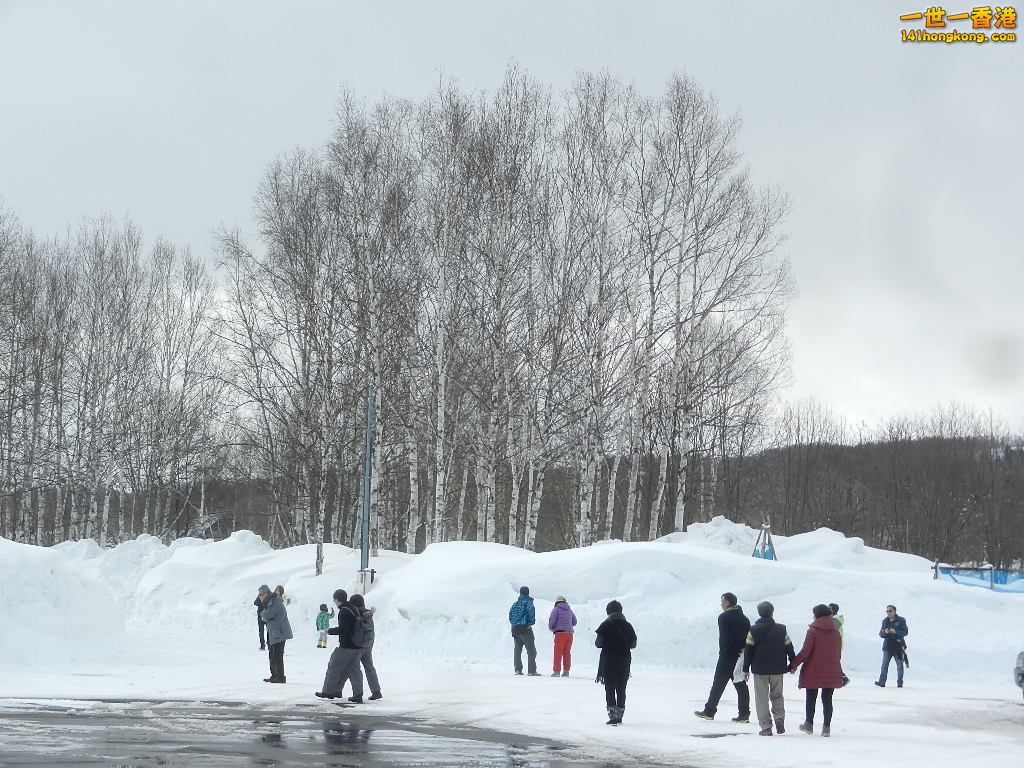 DSCN4250.JPG