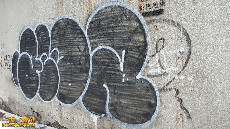 rps20170110_055356.jpg