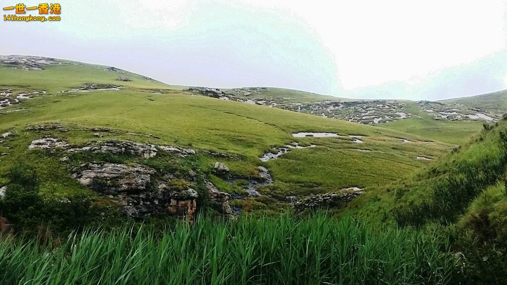 20170108_072113.jpg
