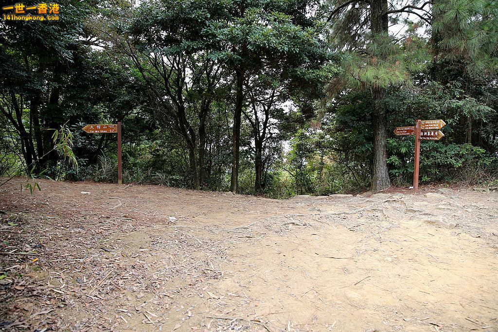 3P1A8765.JPG