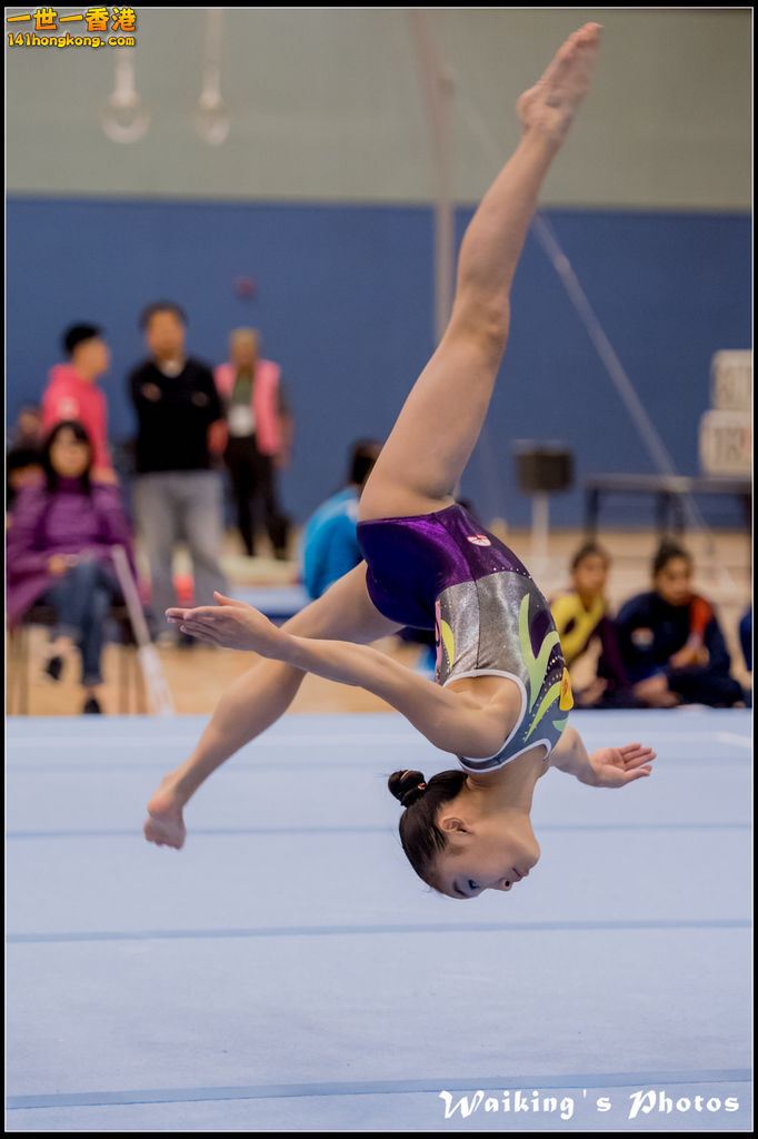 2017-01-14 Artistic Gymnastics 0398.jpg