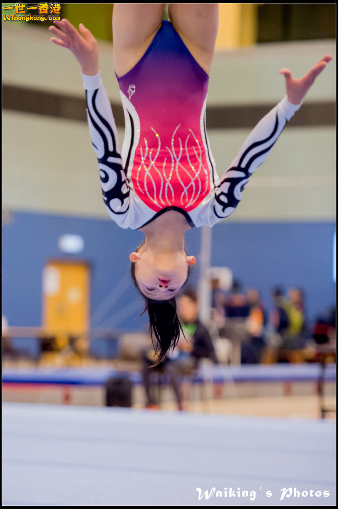 2017-01-15 Artistic Gymnastics 0137.jpg