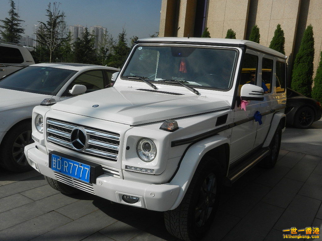 DSCN7338.JPG