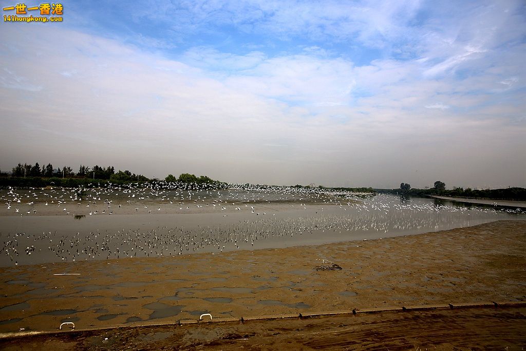 3P1A3555.JPG