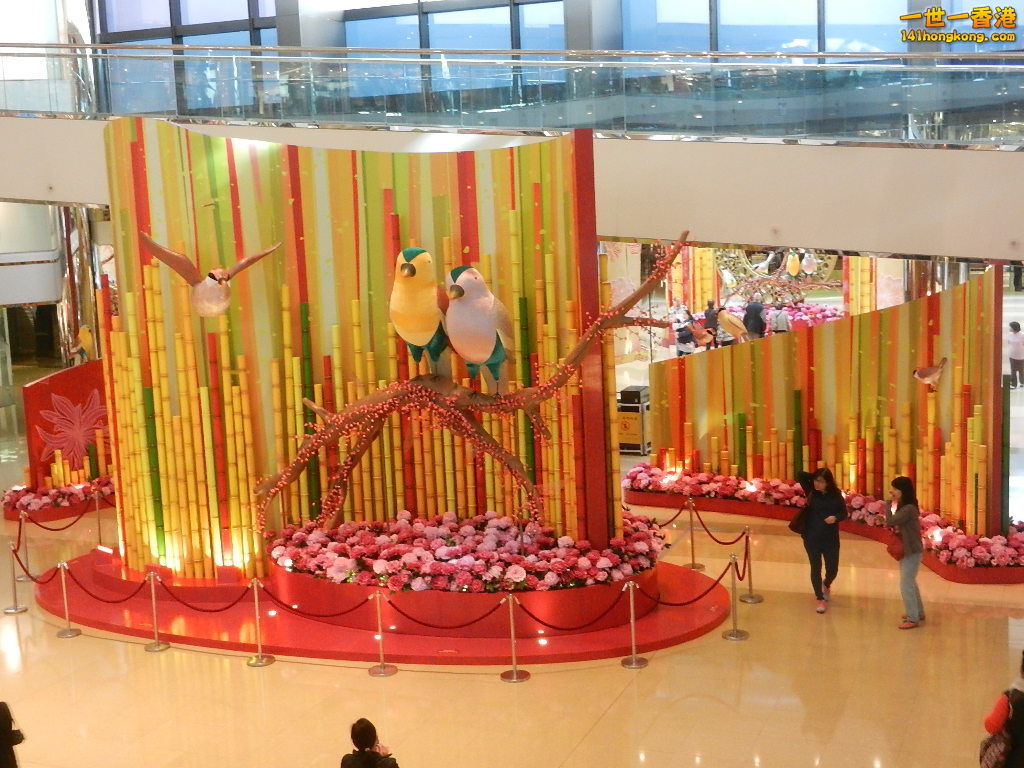 DSCN3919.JPG