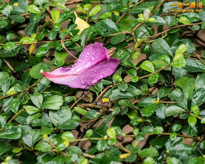 20170115-P1150169.jpg