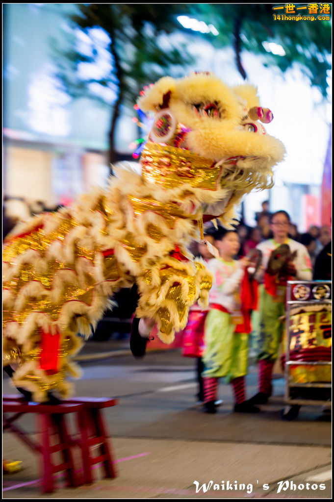 2017-01-28 Night Parade 0098.jpg