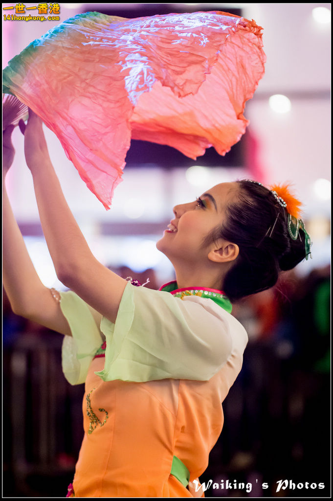 2017-01-28 Night Parade 0284.jpg
