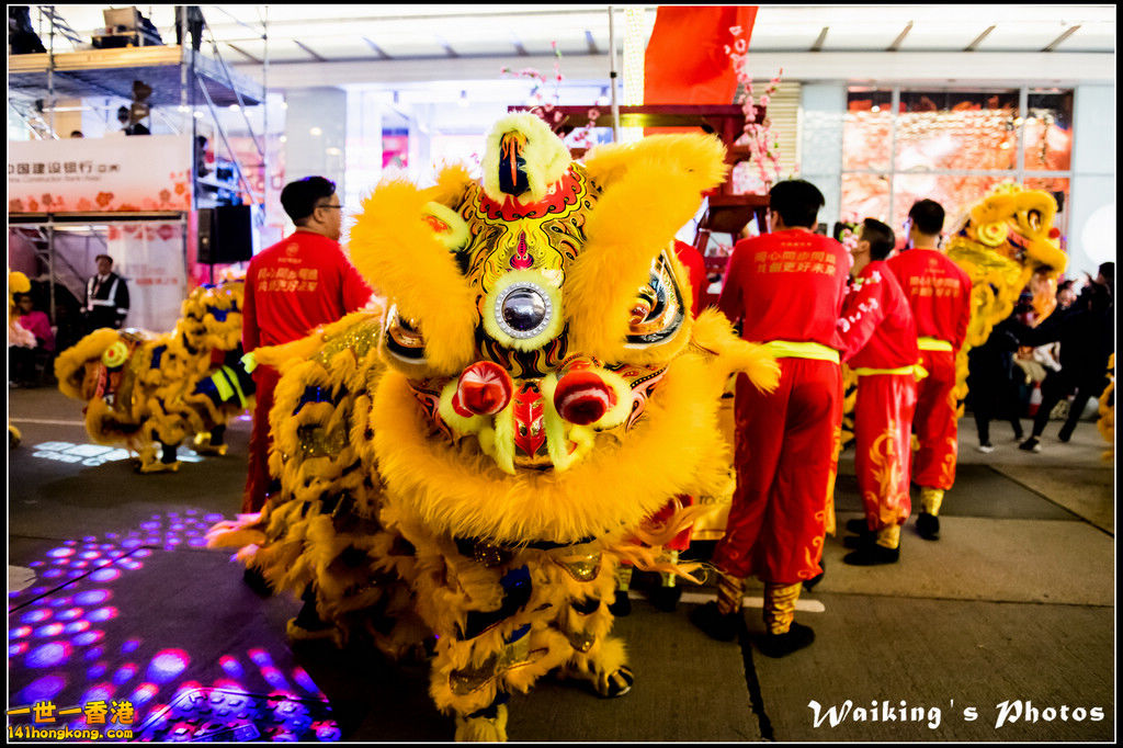2017-01-28 Night Parade 0387.jpg